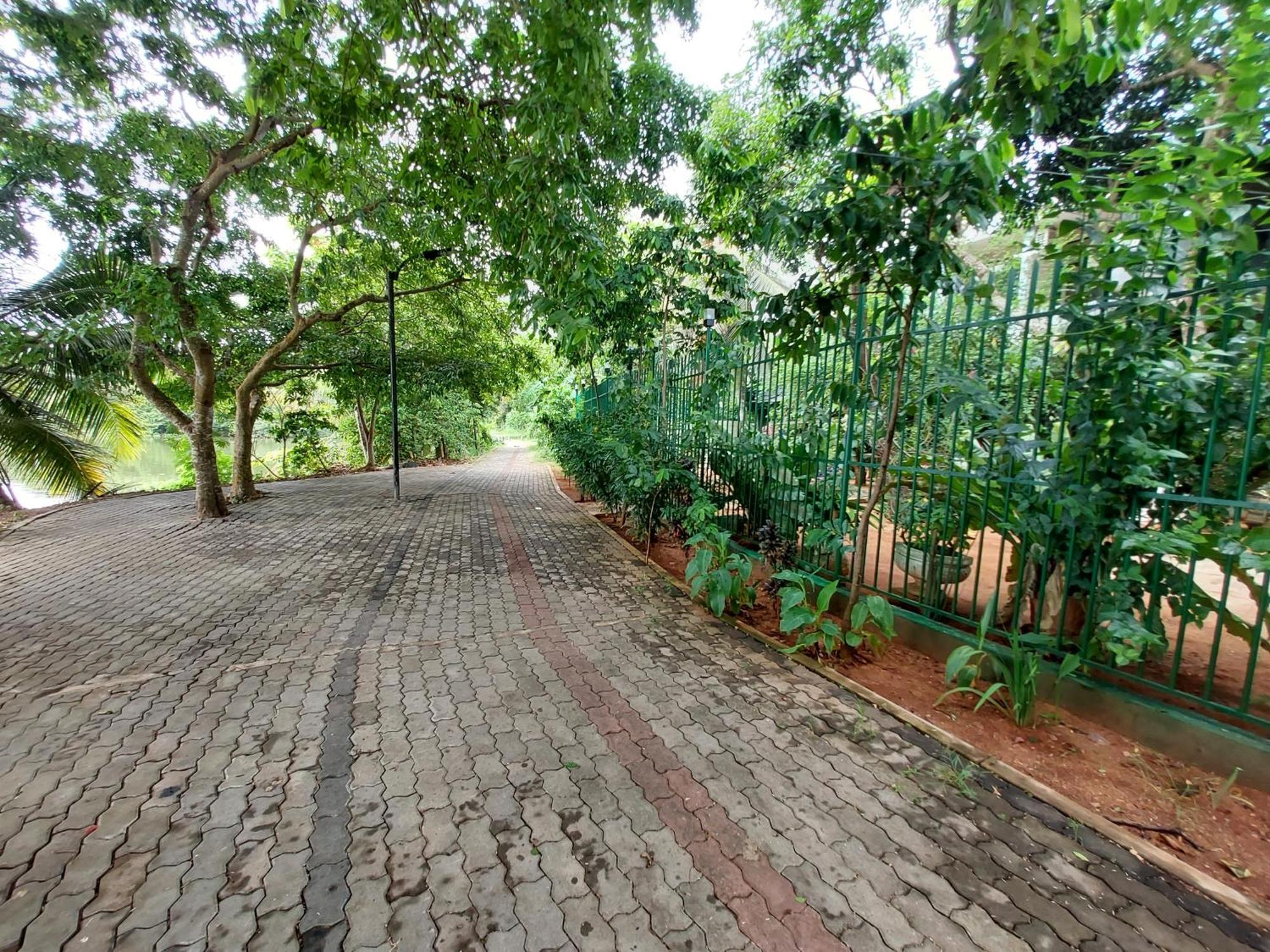 Lake Wave Hotel Anuradhapura Eksteriør bilde