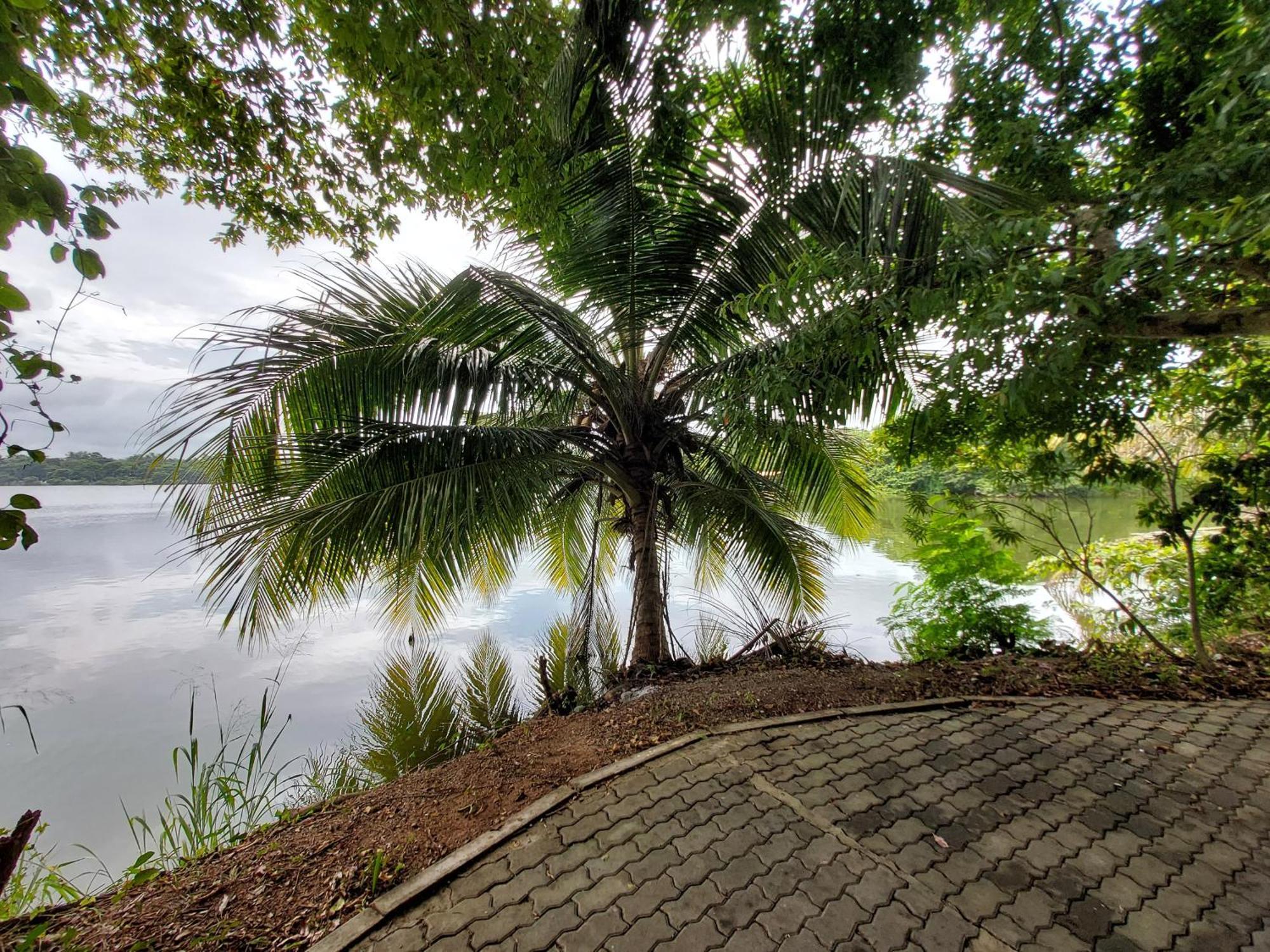 Lake Wave Hotel Anuradhapura Eksteriør bilde