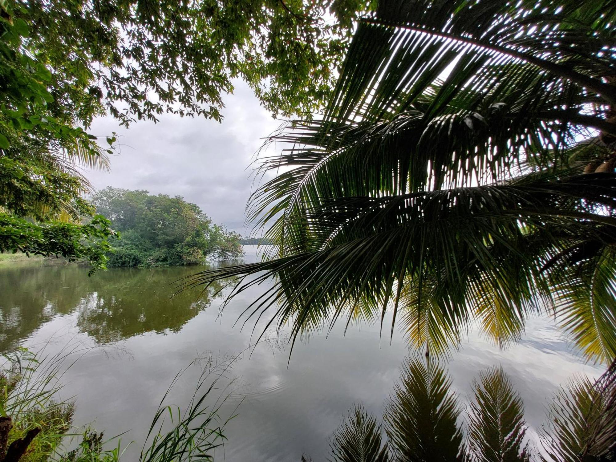 Lake Wave Hotel Anuradhapura Eksteriør bilde