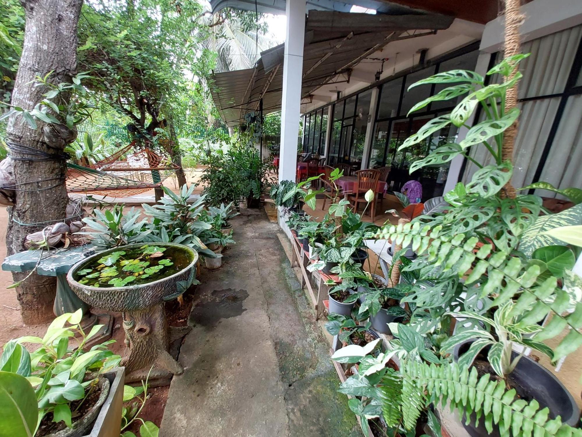 Lake Wave Hotel Anuradhapura Eksteriør bilde